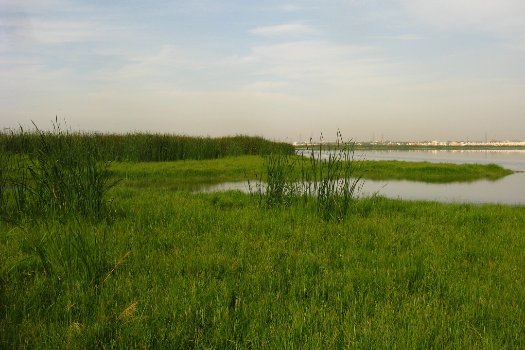 Ramsar Site
